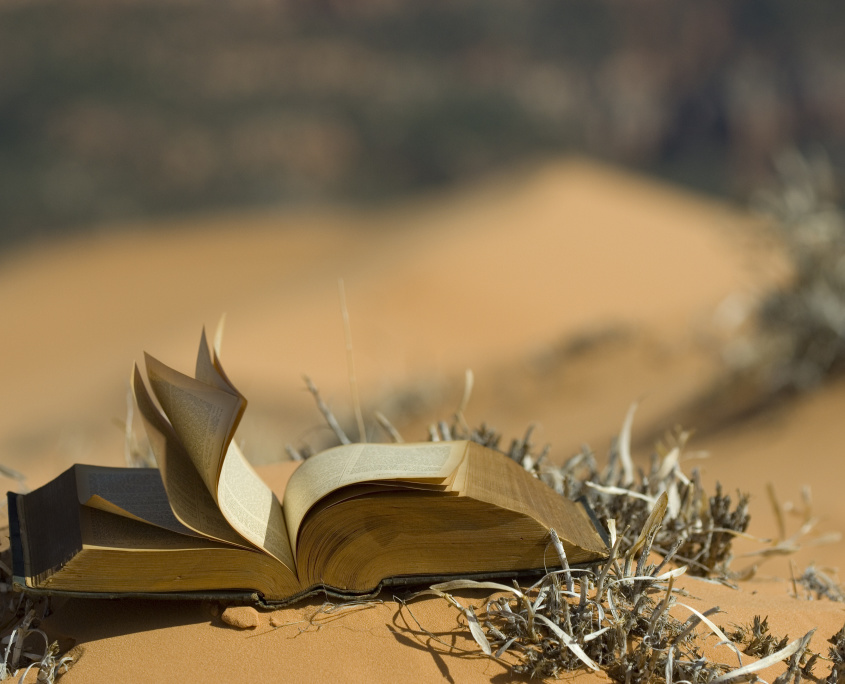 Blowing pages in pink sand dunes